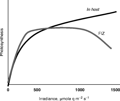 figure 9_7