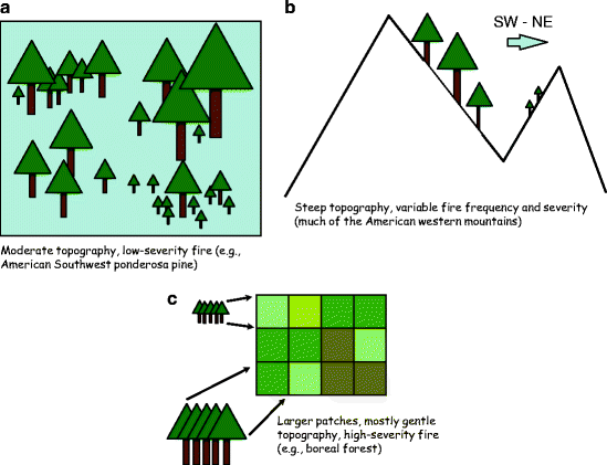 Steep  vs self