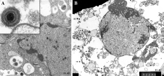 figure 2_3_216206_1_En