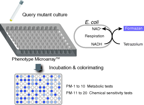 figure 15_3_183939_1_En