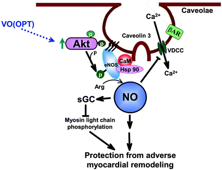 figure 5_9