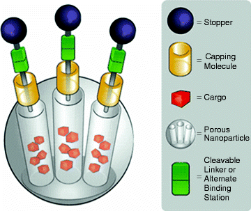 figure 17_8