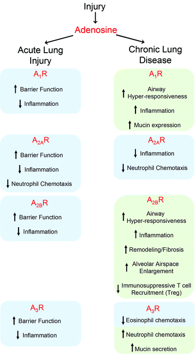 figure 2_8