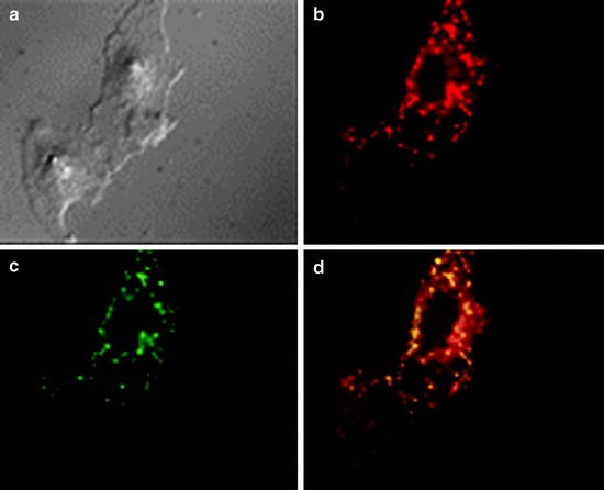 figure 4_8