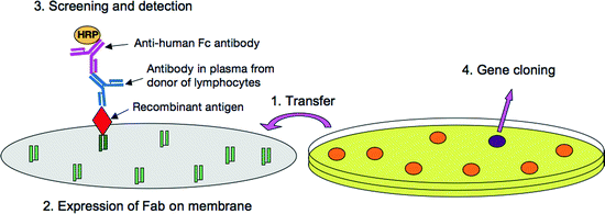 figure 8_3_217261_1_En