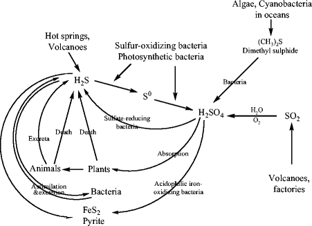 figure 16