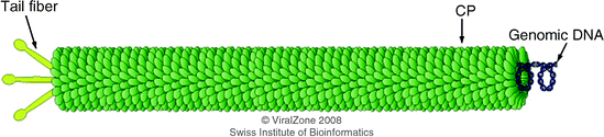 figure 28