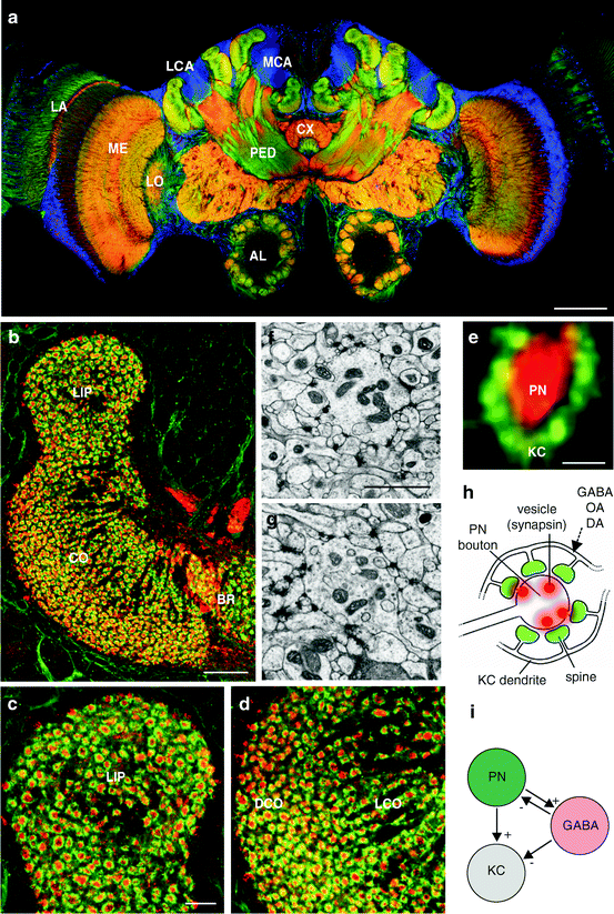 figure 1_12