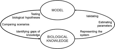 figure 1_5