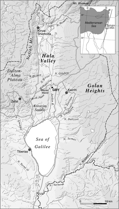 PDF) Systematic butchering of fallow deer (Dama) at the early middle  Pleistocene Acheulian site of Gesher Benot Ya'aqov (Israel)