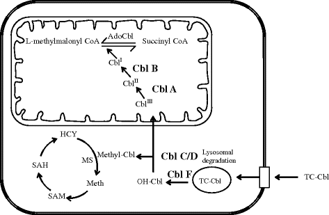 figure 16_1_271987_1_En