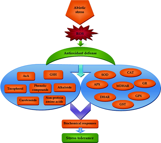 figure 4_8