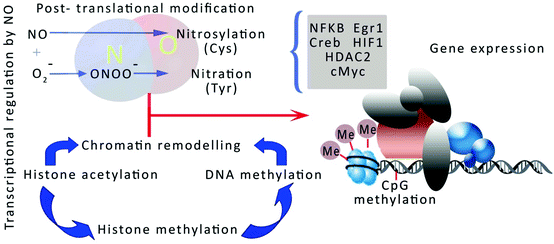 figure 36_3_272396_1_En