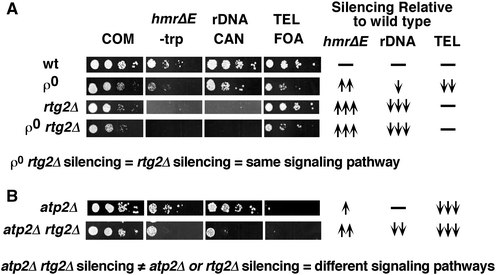 figure 13_4_272498_1_En