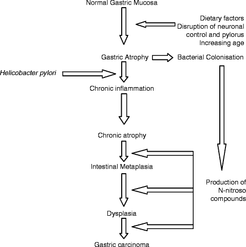 figure 1_1