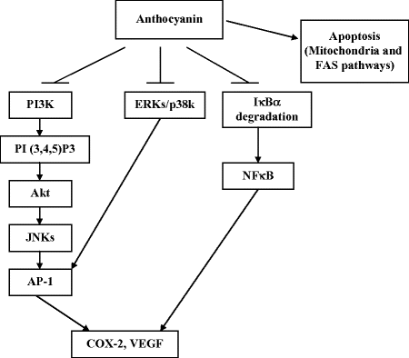 l glutathione side effects on skin glutathione iv side effects liver L-Glutathione