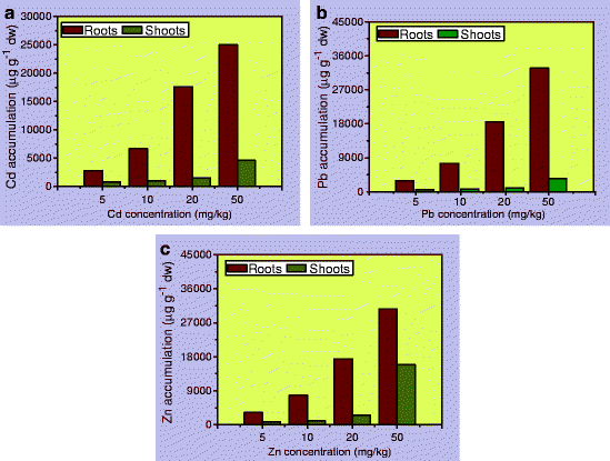 figure 3_6