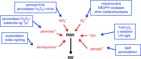 glutathione in blood test Glutathione Blood Test