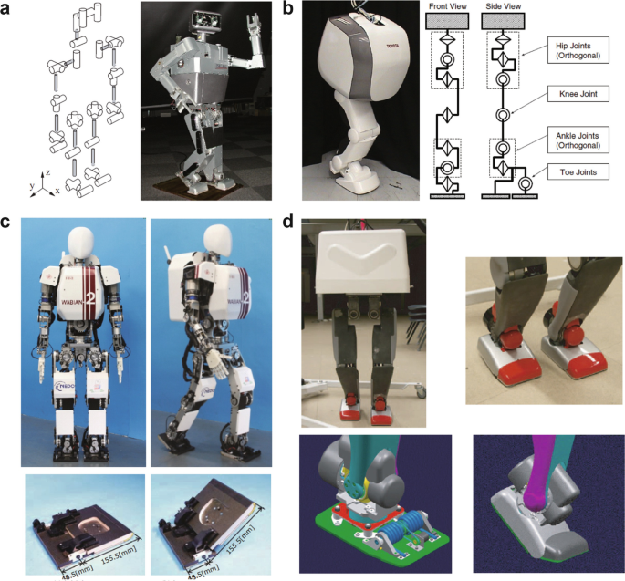 Toe joint mechanism of human (a), and of existing humanoid robots