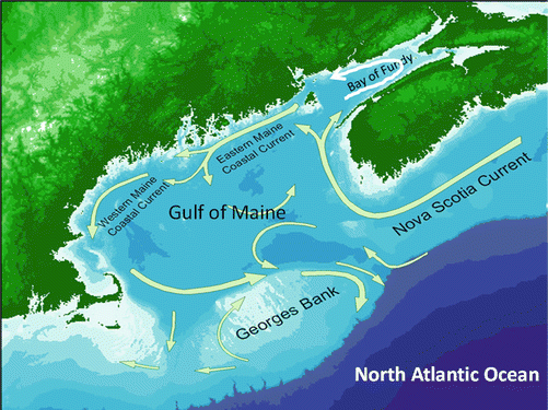 What Is Unique About The Bay of Fundy? - WorldAtlas