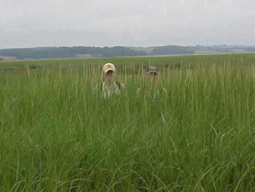 The Bay of Fundy and Its Wetlands (Canada)