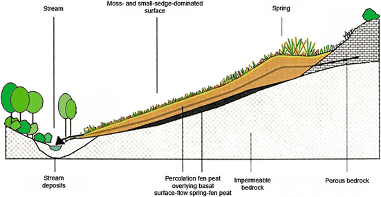 What is a Fen?