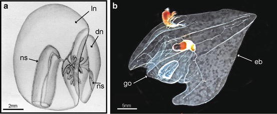 figure 15