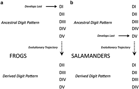 figure 00161