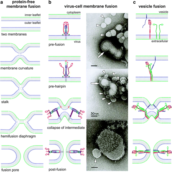 figure 00161