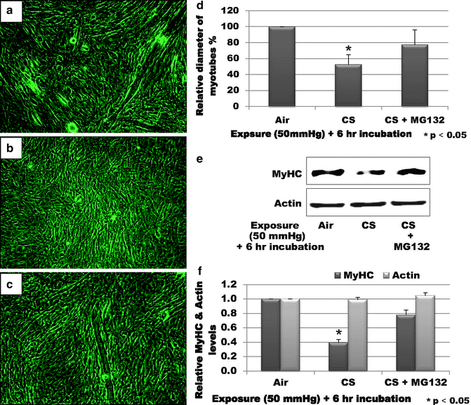 figure 00043