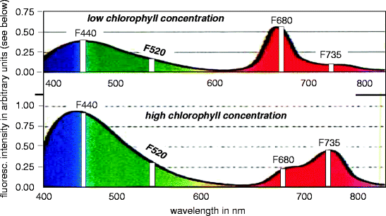 figure 000613