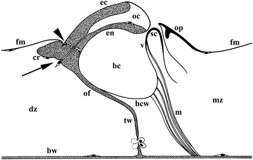 figure 24