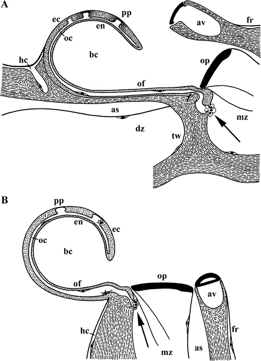 figure 42