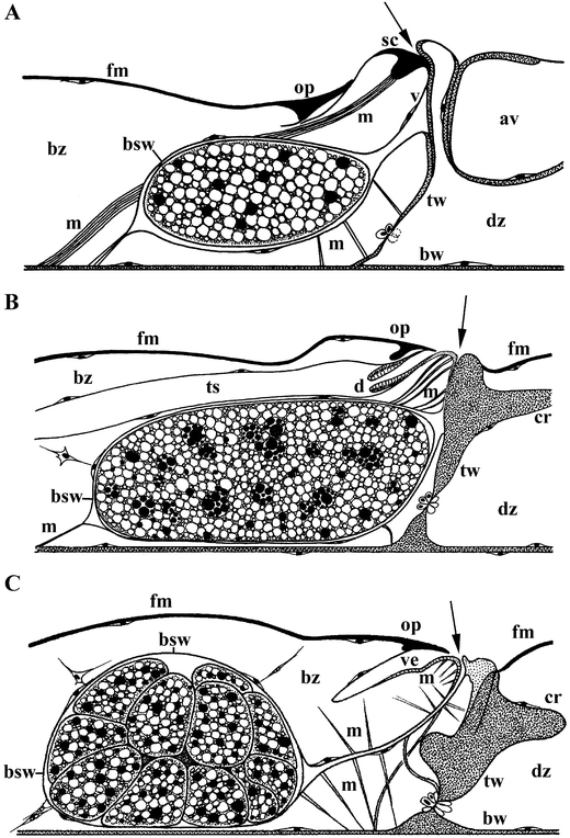 figure 46