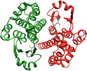 what age can take glutathione capsule Erythrocyte Glutathione Transferase as a Biomarker in Kidney Health and  Disease