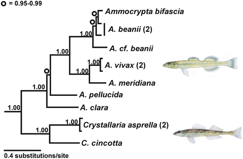 https://media.springernature.com/lw685/springer-static/image/chp%3A10.1007%2F978-94-017-7227-3_1/MediaObjects/336262_1_En_1_Fig20_HTML.gif