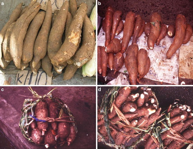 Acceptability of Pan de Yacon, PDF, P Value