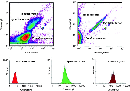 figure 23