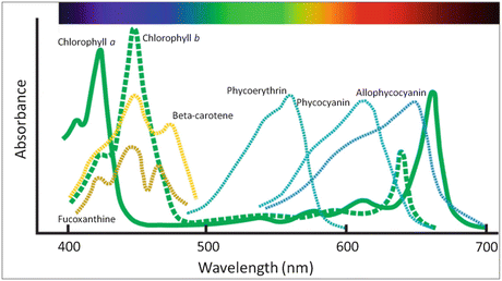 figure 26