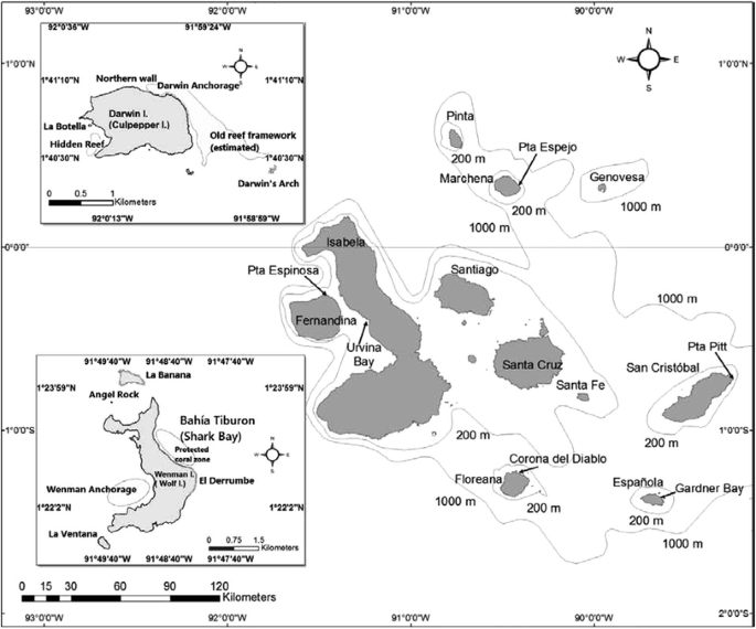 figure 26