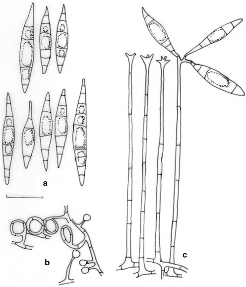 figure 58