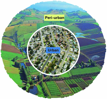Challenges and Opportunities for Peri-urban Futures | SpringerLink