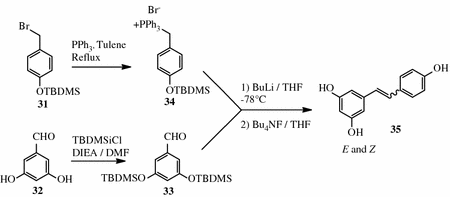 scheme 4