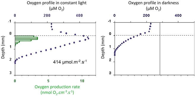 figure 27