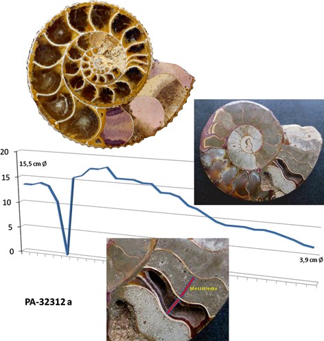 figure 24