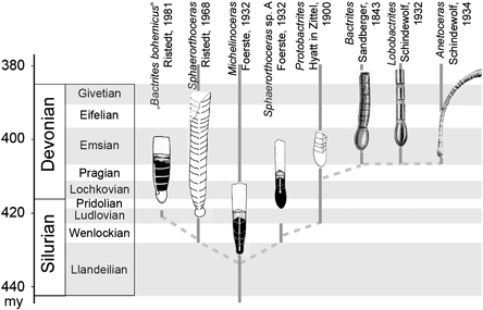 Ancestry, Origin and Early Evolution of Ammonoids