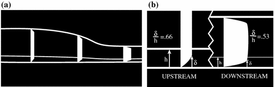 figure 29