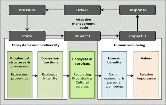 Six essential steps to analysing context of ecosystem services