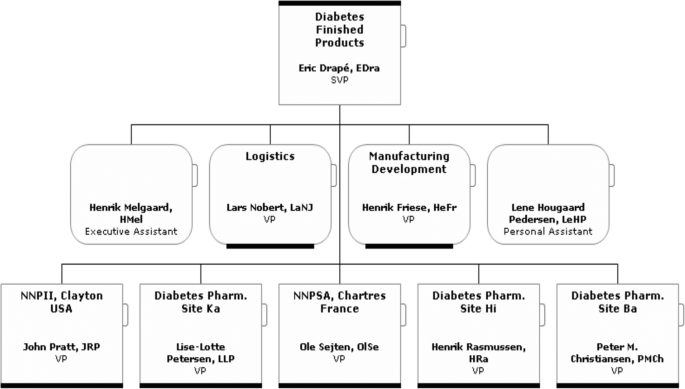 An organizational chart presents the names of the destinations for the Diabetes Finished Products, with S V P at the top of the hierarchy. An executive assistant, 2 V Ps, and a personal assistant make up the next level. The last level consists of 5 V Ps in different locations.