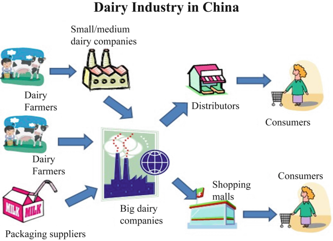 An illustration of the dairy industry in China. Dairy farmers supply products to small or medium dairy companies and big dairy companies. The former supply to consumers through distributors and the latter supply to consumers through shopping malls.